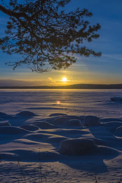 Winterlandschaft Kiefern Sonne Und Schnee — Stockfoto