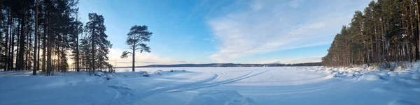 Besneeuwd Dennenbos Winter Schaduwen Van Bomen — Stockfoto