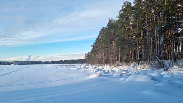 Besneeuwd Dennenbos Winter Schaduwen Van Bomen — Stockfoto