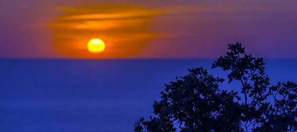 Όμορφο Ηλιοβασίλεμα Πάνω Από Θάλασσα Πίσω Από Κλαδιά Των Δέντρων — Φωτογραφία Αρχείου