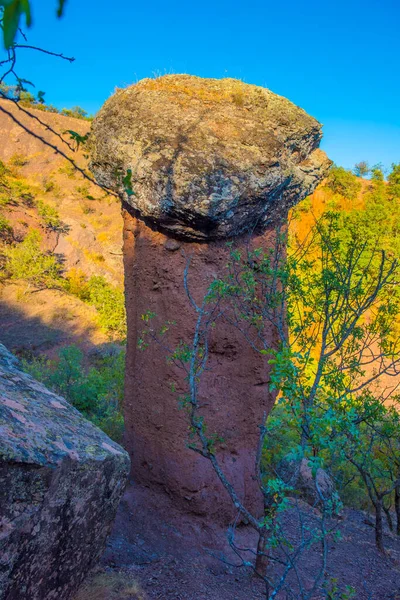 珍しいキノコは 地元の絵のように美しい地域にたくさんある渓谷の一つの斜面にあるソテラ川の渓谷に位置しています 1960年 ソテラ渓谷は保護地域に指定された 石の数字は Wiの力によって作成された — ストック写真