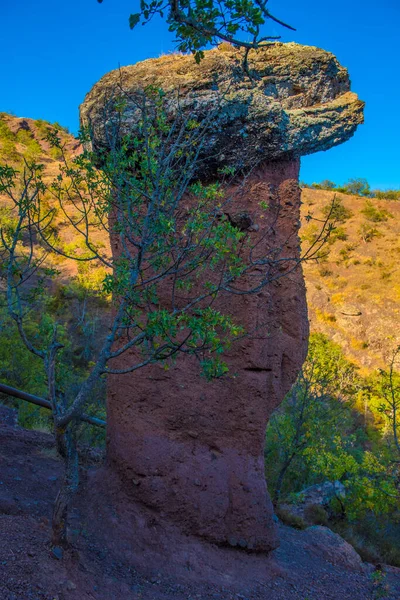 Unusual Mushrooms Located Valley Sotera River Slope One Ravines Abound — Stock Photo, Image