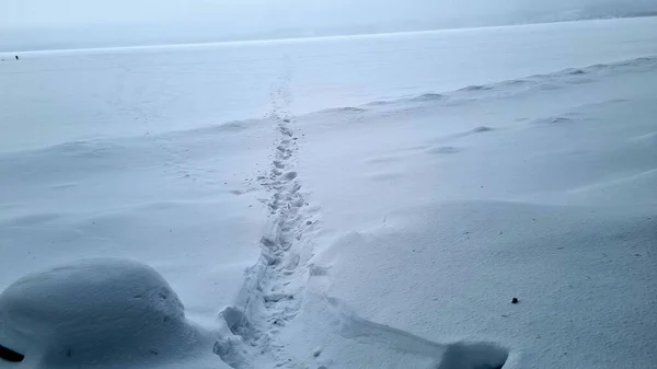 Kışın Sisli Havada Gölün Karla Kaplı Yüzeyi — Stok fotoğraf