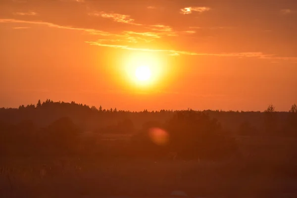 Beau Paysage Champ Automne Soir Coucher Soleil — Photo