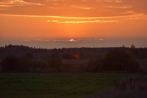 Beau Paysage Champ Automne Soir Coucher Soleil — Photo