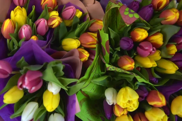 Csomag Csokrokkal Tulipánnal Tavaszi Nőnapra — Stock Fotó