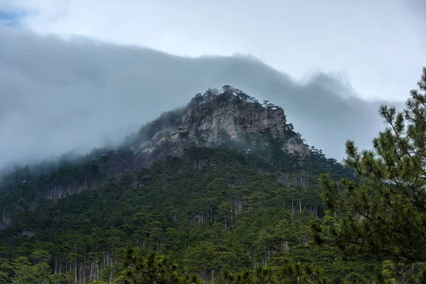 Mlha Nad Horami Nízké Mraky Krásná Scenérie — Stock fotografie