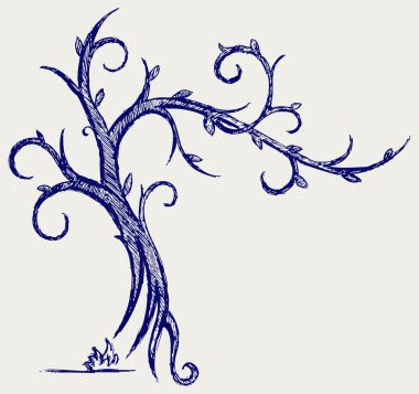 ağaçlarının silhouettes