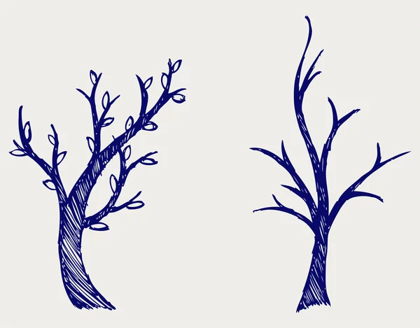 Trees silhouettes — Stock Photo, Image