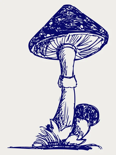 Illustrazione dei funghi — Foto Stock