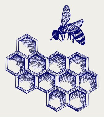 honeycells üzerinde çalışan arı