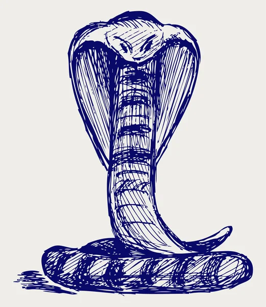 Snake sketch — Stock Photo, Image