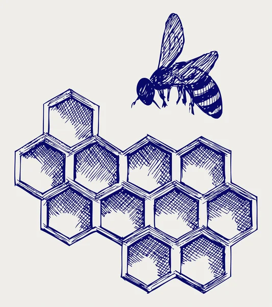 Arbeitsbiene auf Honigzellen — Stockfoto