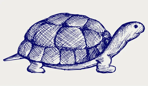 Αυτί χελώνα — Διανυσματικό Αρχείο