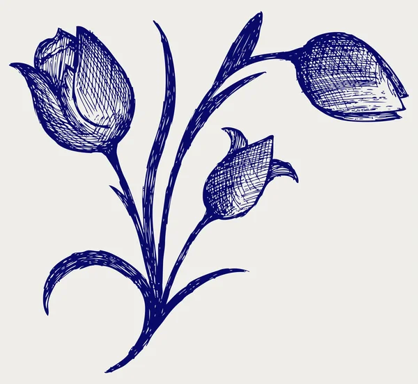 Tulipanes. Estilo Doodle — Archivo Imágenes Vectoriales