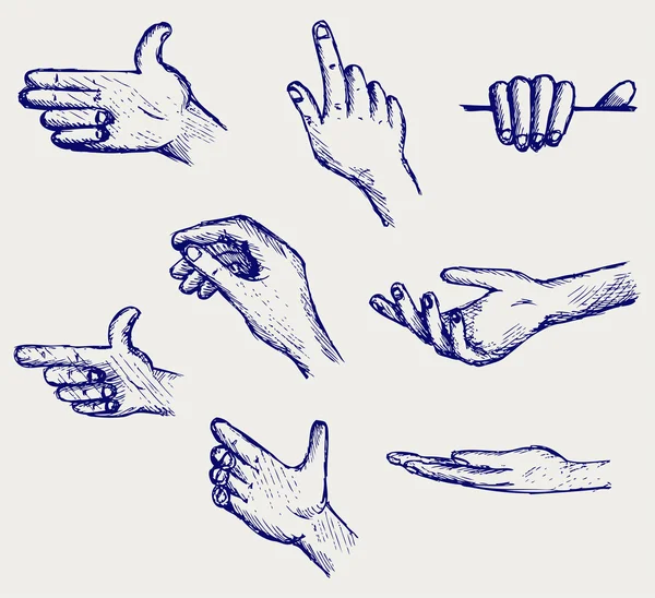 Sok különböző kéz — Stock Vector
