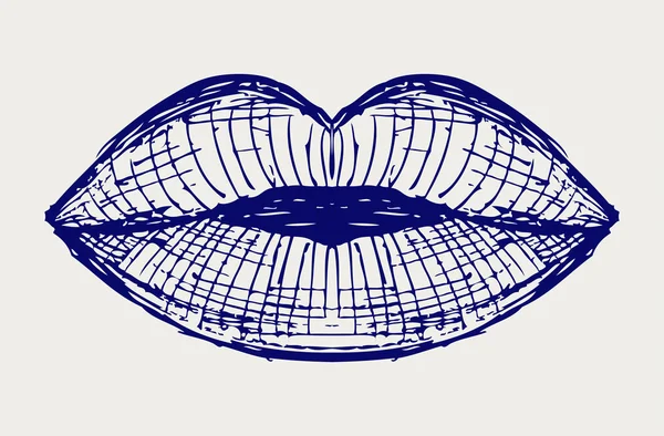 Mujer labio boca beso — Vector de stock