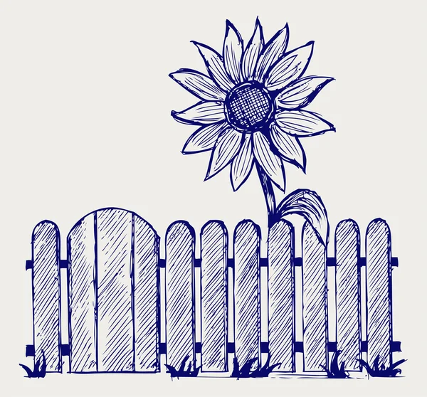 Girasol y valla — Vector de stock