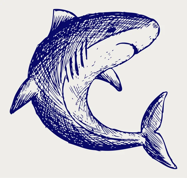 Reef Shark — Stock Vector