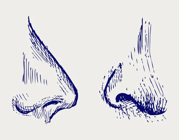 Вектор носа — стоковый вектор