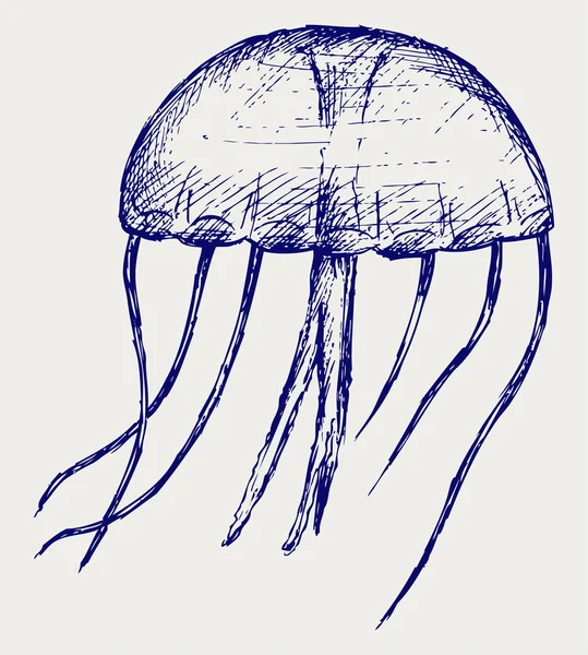 Медузы — стоковый вектор