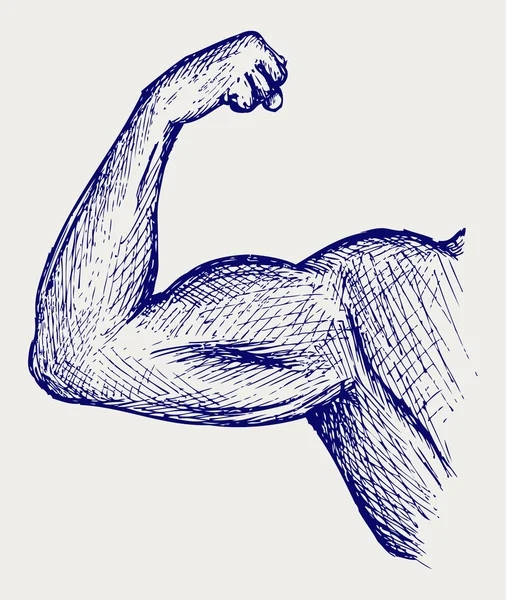 Biceps forts — Image vectorielle