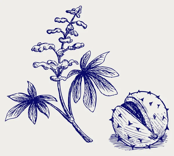 Castañas y hojas con flores — Archivo Imágenes Vectoriales