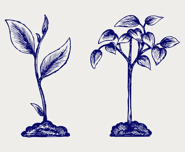 Poignée du sol et de la plante — Image vectorielle