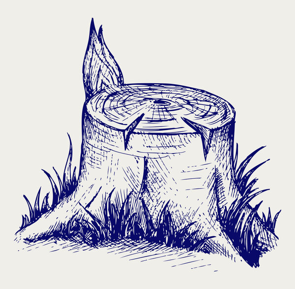 Старый пень
