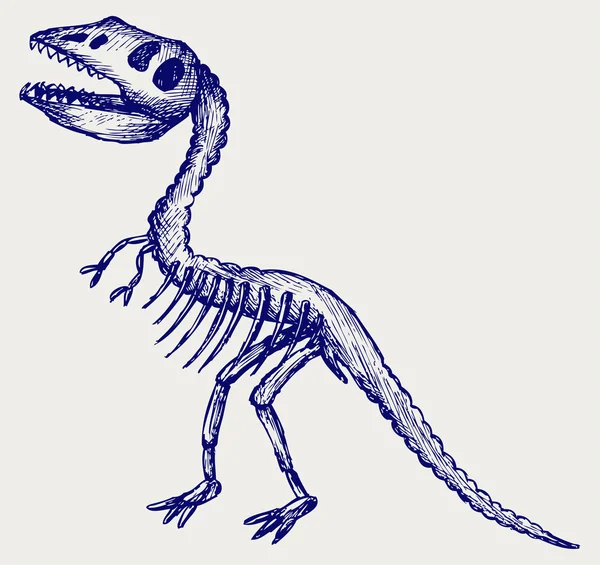 Tyrannosaurus skelet — Stockový vektor