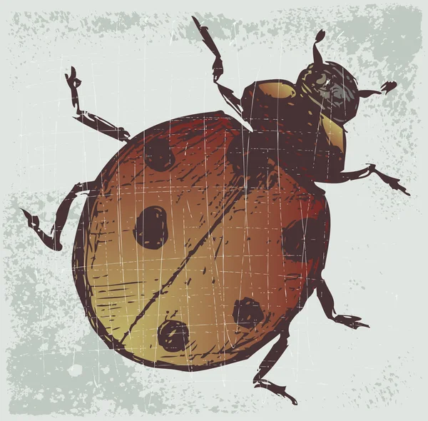 Uğur böceği. Grunge tarzı — Stok Vektör