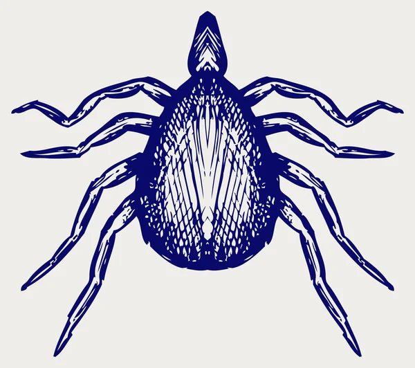 Mite bug — Stock Vector