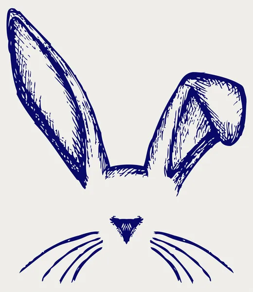 Orejas de conejo de Pascua — Vector de stock