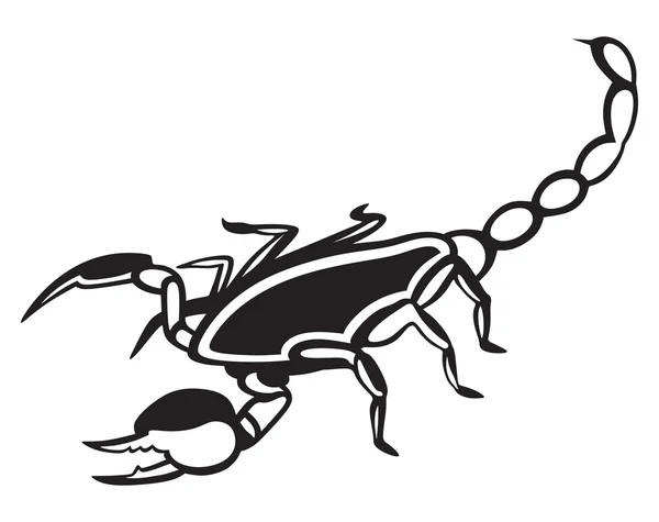 Scorpion Pandinus imperator — Stock Vector