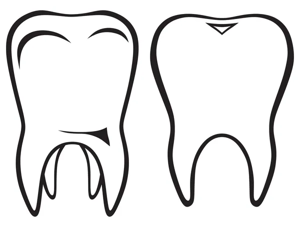 Abbildung des Zahnes — Stockvektor
