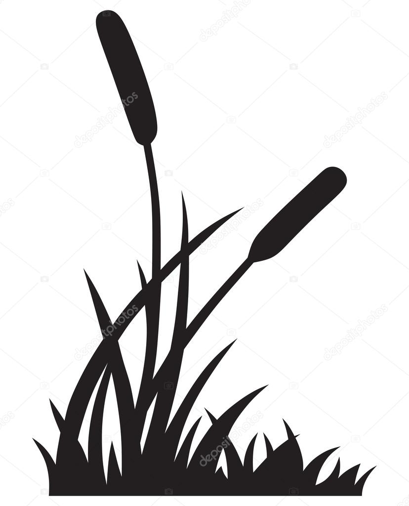 Download Silhouette reed — Stock Vector © Kreativ #27390843