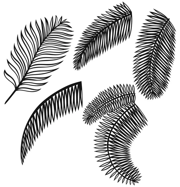 Set of palm leaves — Stock Vector