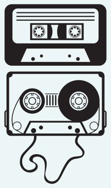 ses kaset
