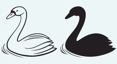 kuğular üzerinde gölet