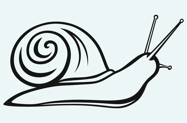 Escargot illustrateur — Image vectorielle