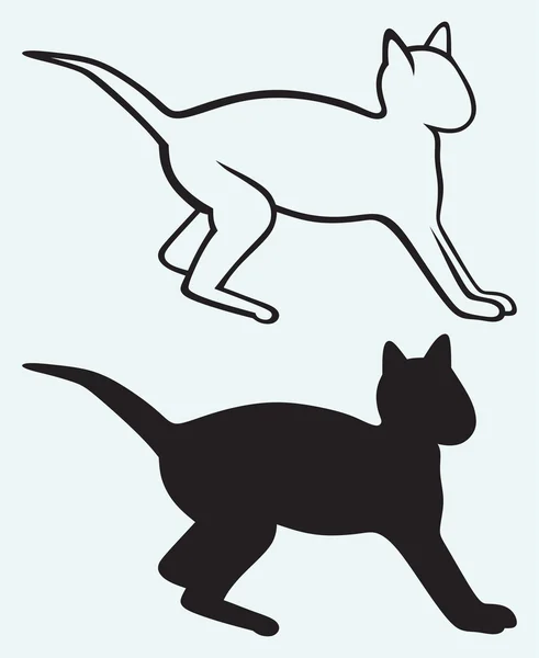 Silueta de gato negro — Vector de stock