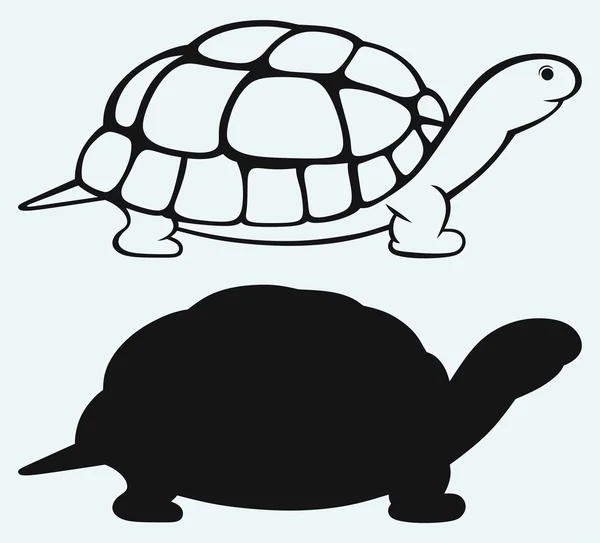 Tortue de mer — Image vectorielle