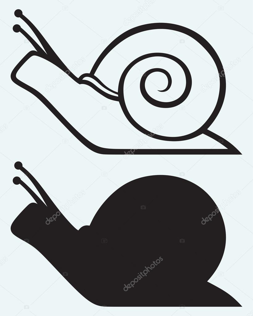 Illustration snail