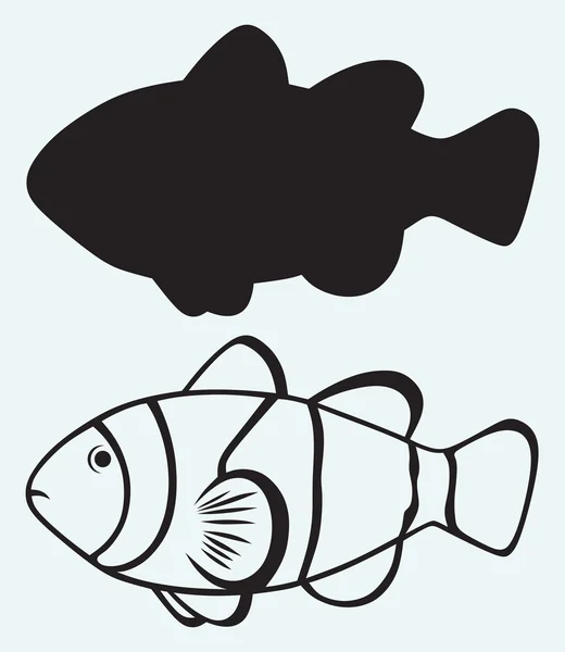 열 대 암초 물고기 — 스톡 벡터