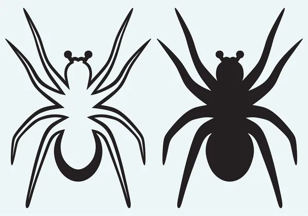 Tarentule araignée — Image vectorielle