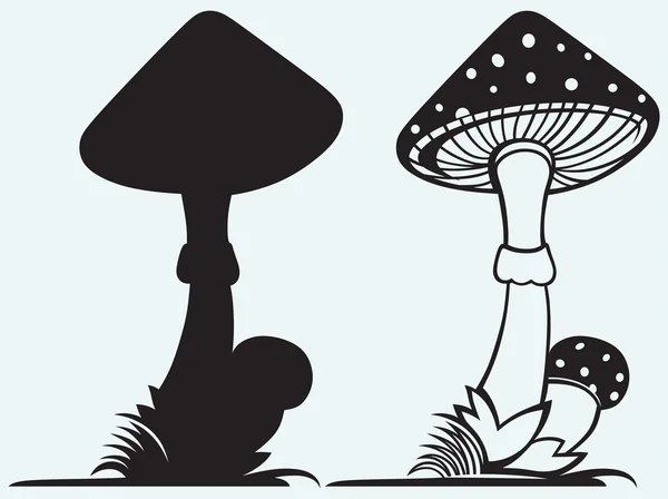 Cogumelo Amanita com grama — Vetor de Stock