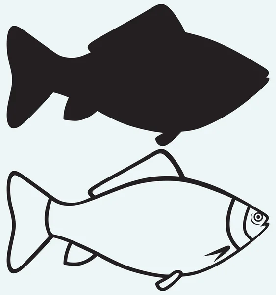 Peixes de silhueta —  Vetores de Stock