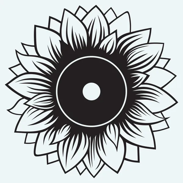 Sunflower — Stock Vector