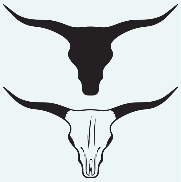 Cráneo de un toro — Vector de stock