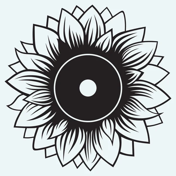 Girasole — Vettoriale Stock